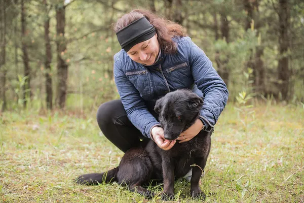 Pies do adopcji, Nowodwór, 28 maja 2025 (2/5)