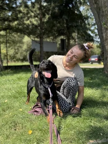 Pies do adopcji, Kraków, 17 maja 2025 (4/5)