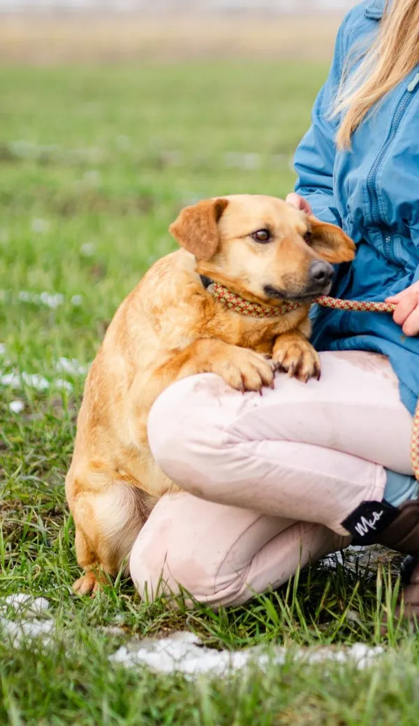 Oddam psa, Olsztyn, Kormoran, 8 czerwca 2025 (2/4)