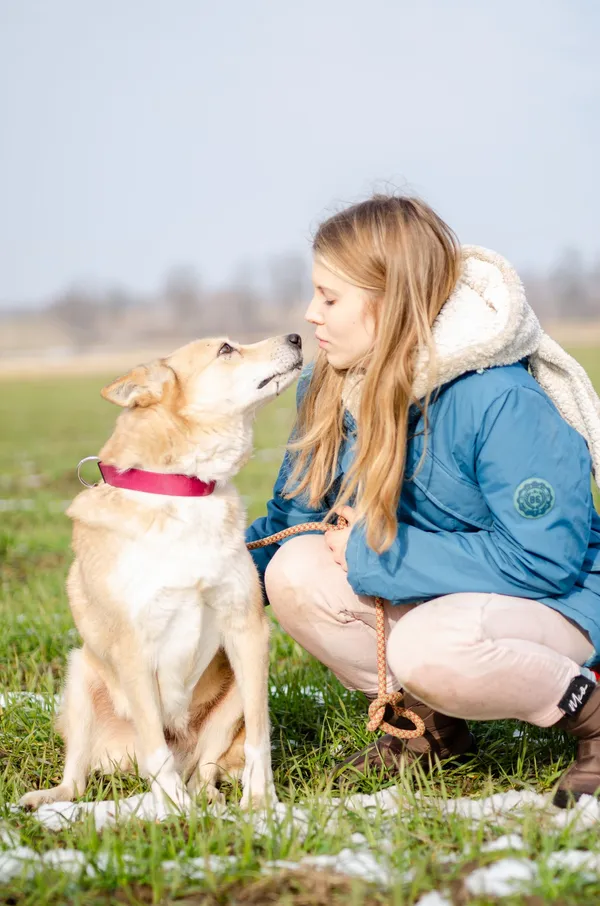 Oddam psa, Elbląg, Rakowo, 11 czerwca 2025 (2/4)