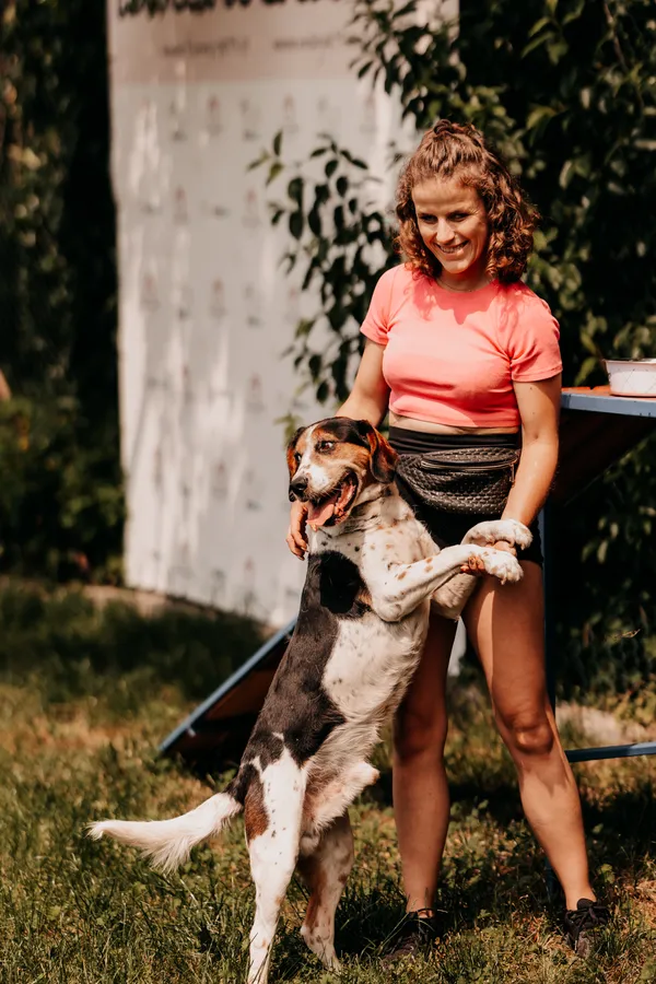 Pies do adopcji, Czartki, 11 czerwca 2025 (1/5)