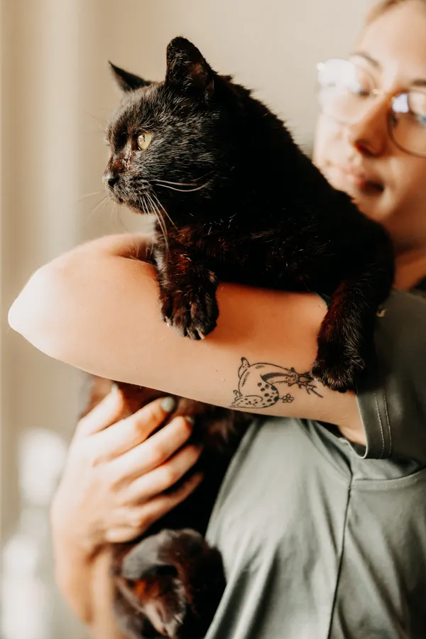 Kot do adopcji, Czartki, 12 czerwca 2025 (3/3)