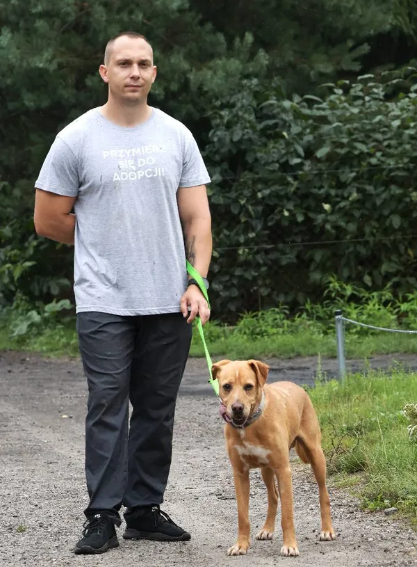 Znaleziono psa, Łódź, 10 czerwca 2025 (5/5)