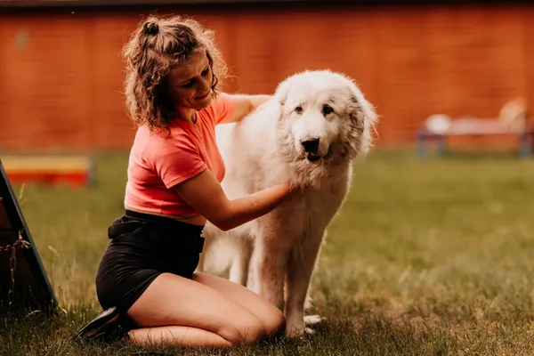 Pies do adopcji, Czartki, 16 czerwca 2025 (4/5)