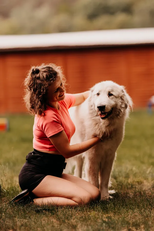 Pies do adopcji, Czartki, 16 czerwca 2025 (5/5)