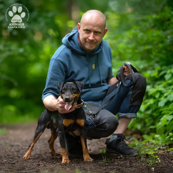 Pies do adopcji, Gdynia, 23 czerwca 2025 (4/4)