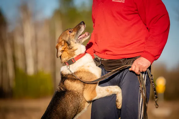Oddam psa, Łódź, Stare Miasto, 24 czerwca 2025 (2/5)