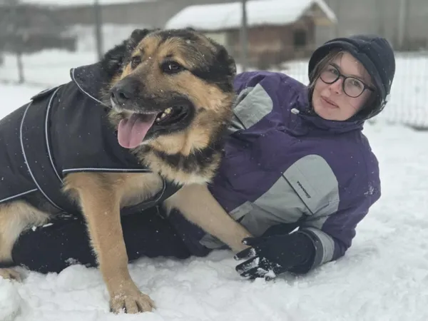 Pies do adopcji, Zgierz, 24 czerwca 2025 (4/5)