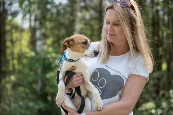 Pies do adopcji, Nowodwór, 24 czerwca 2025 (5/5)