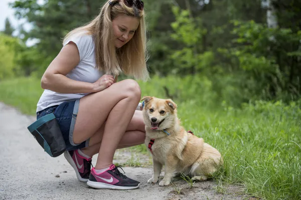 Pies do adopcji, Nowodwór, 24 czerwca 2025 (5/5)