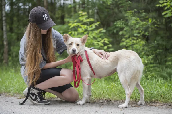 Pies do adopcji, Nowodwór, 24 czerwca 2025 (4/5)