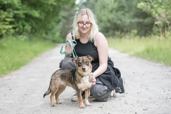 Pies do adopcji, Nowodwór, 24 czerwca 2025 (5/5)