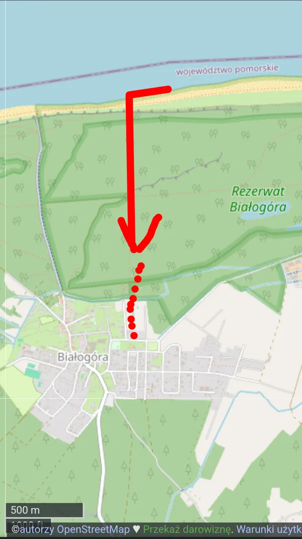 Znaleziono psa, Białogóra, 27 czerwca 2025 (2/2)