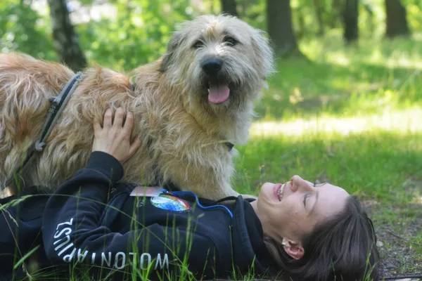 Pies do adopcji, Milanówek, 1 lipca 2025 (2/5)