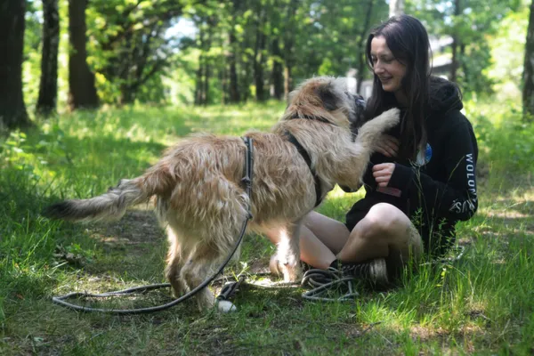 Pies do adopcji, Milanówek, 1 lipca 2025 (4/5)