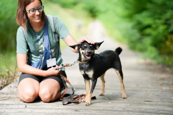 Znaleziono psa, Sosnowiec, 30 czerwca 2025 (2/5)