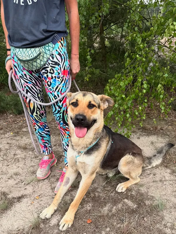 Oddam psa, Opacz-Kolonia, 3 lipca 2025 (1/5)