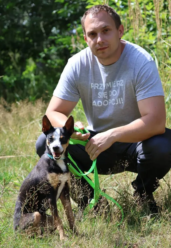 Znaleziono psa, Łódź, 3 lipca 2025 (4/5)