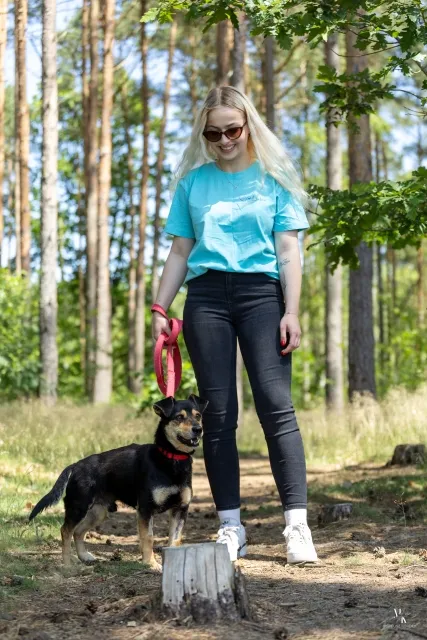 Pies do adopcji, Piła, 17 maja 2025 (4/5)