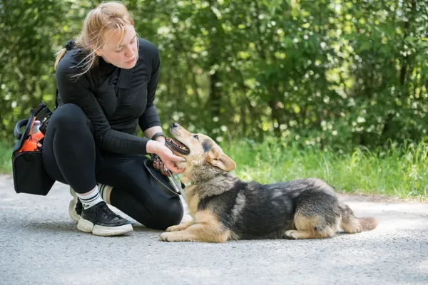 Pies do adopcji, Nowodwór, 7 lipca 2025 (4/5)