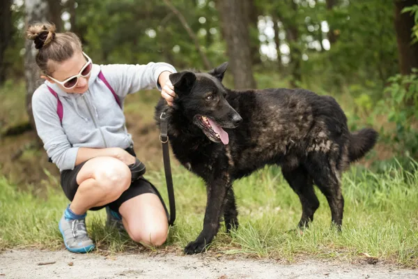 Pies do adopcji, Nowodwór, 8 lipca 2025 (1/5)