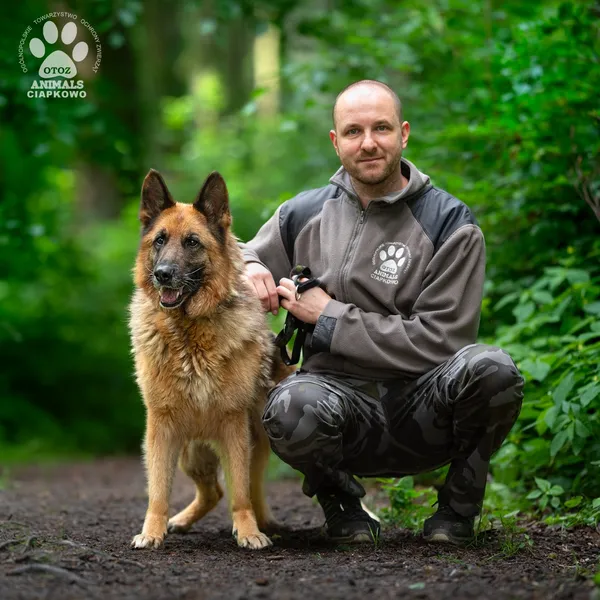 Pies do adopcji, Gdynia, 9 lipca 2025 (4/4)