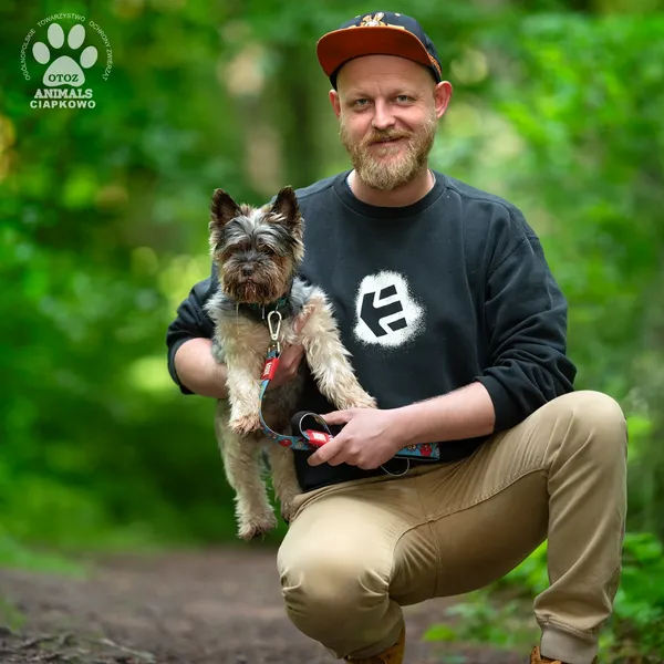 Pies do adopcji, Gdynia, 9 lipca 2025 (4/4)