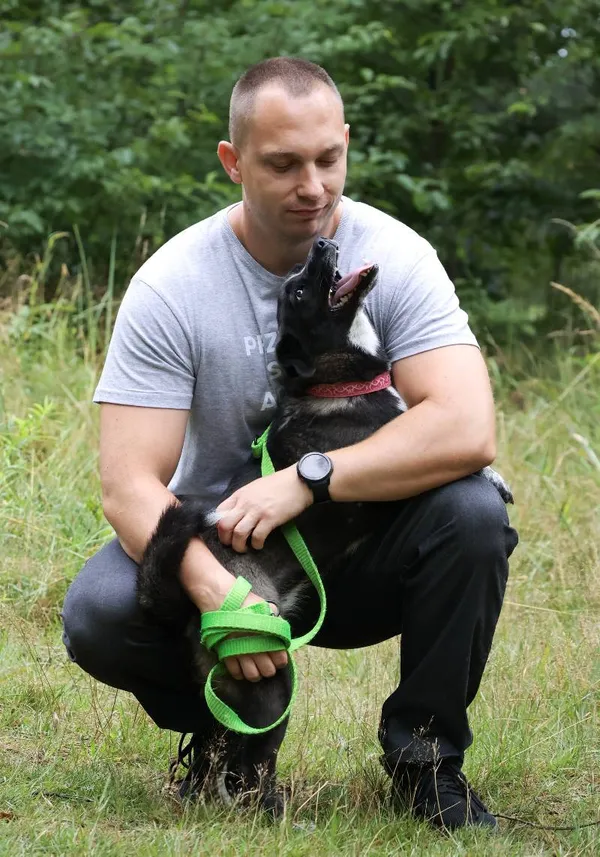 Znaleziono psa, Łódź, 11 lipca 2025 (5/5)