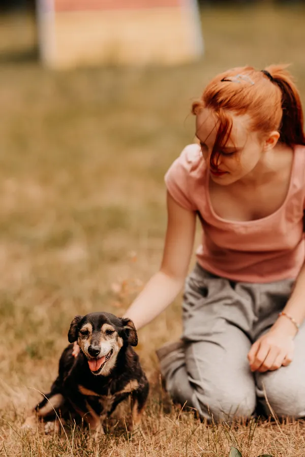 Pies do adopcji, Czartki, 14 lipca 2025 (4/5)