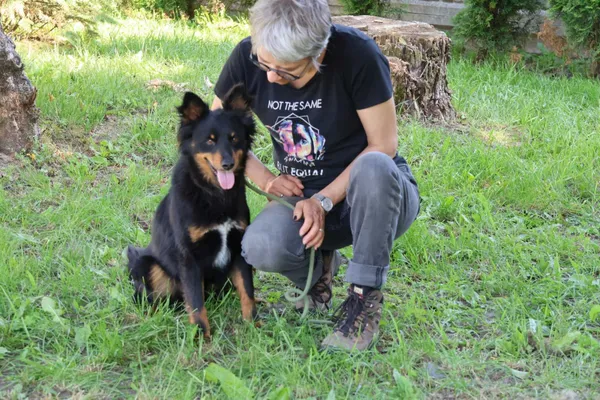 Pies do adopcji, Bełchatów, 26 lutego 2025 (5/5)