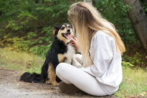 Pies do adopcji, Nowodwór, 18 lipca 2025 (5/5)