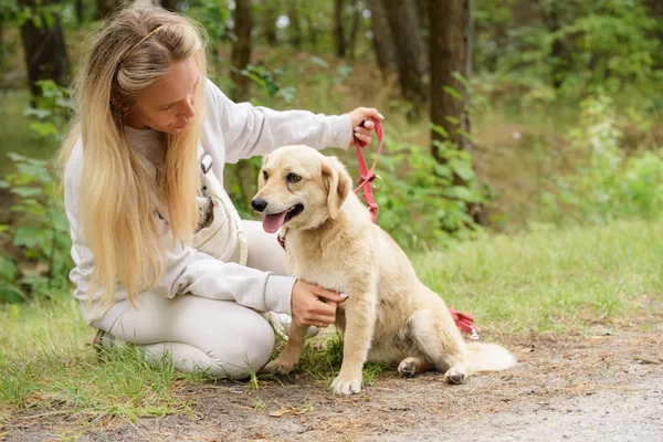 Pies do adopcji, Nowodwór, 18 lipca 2025 (5/5)