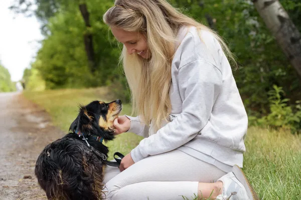 Pies do adopcji, Nowodwór, 18 lipca 2025 (5/5)