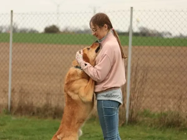 Pies do adopcji, Tatary, 17 września 2021 (5/5)