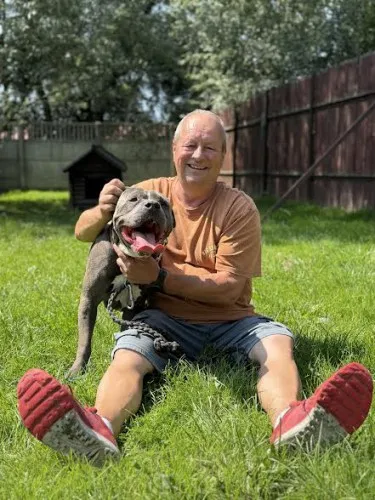 Pies do adopcji, Kraków, 12 lipca 2025 (4/5)