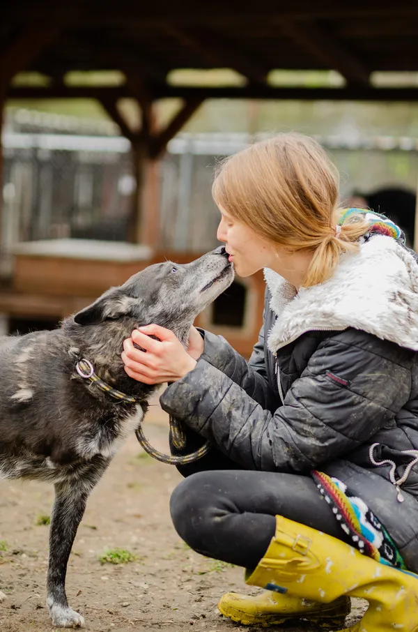 Oddam psa, Olsztyn, Podgrodzie, 27 lipca 2025 (2/3)