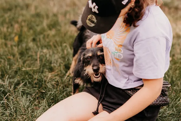 Pies do adopcji, Czartki, 4 sierpnia 2025 (4/5)