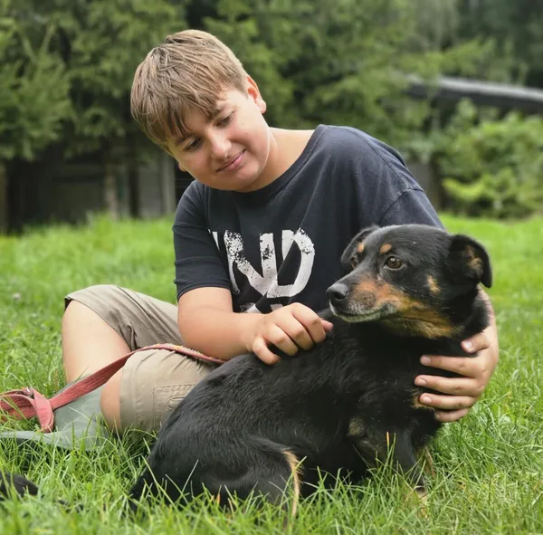 Pies do adopcji, Zgierz, 10 sierpnia 2025 (1/4)