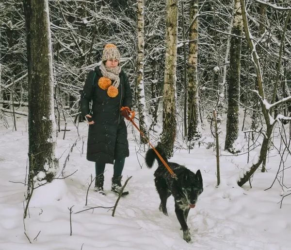 Pies do adopcji, Zgierz, 13 sierpnia 2025 (5/5)