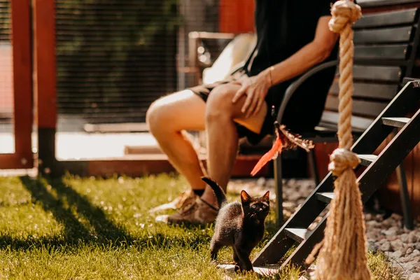 Kot do adopcji, Czartki, 12 sierpnia 2025 (5/5)