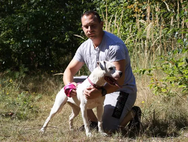 Znaleziono psa, Łódź, 16 sierpnia 2025 (5/5)