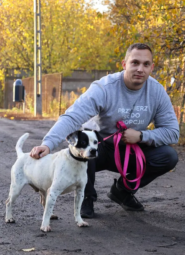 Znaleziono psa, Łódź, 17 sierpnia 2025 (4/5)