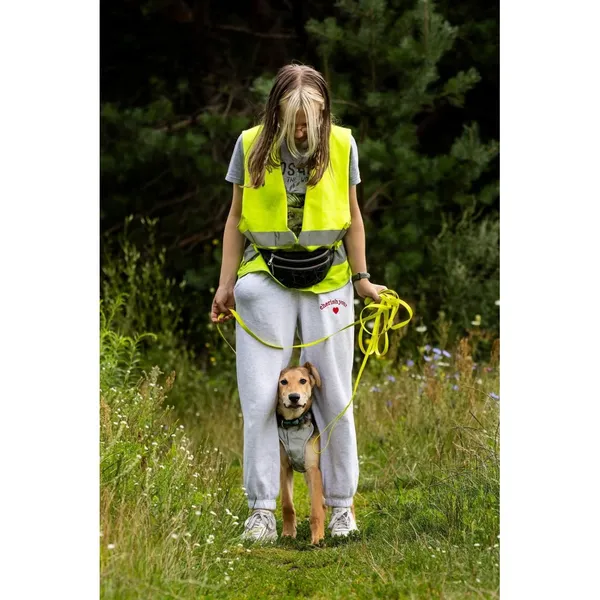 Znaleziono psa, Białystok, 15 lipca 2025 (2/3)