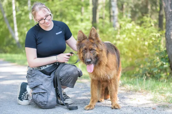 Pies do adopcji, Nowodwór, 18 sierpnia 2025 (1/5)