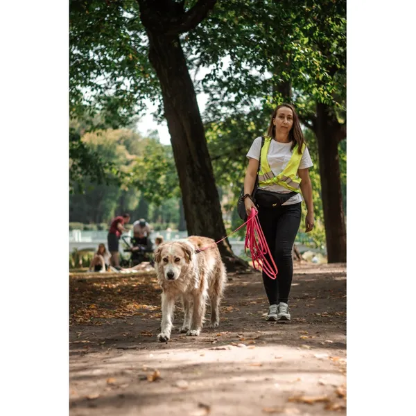 Znaleziono psa, Białystok, 21 czerwca 2025 (3/5)