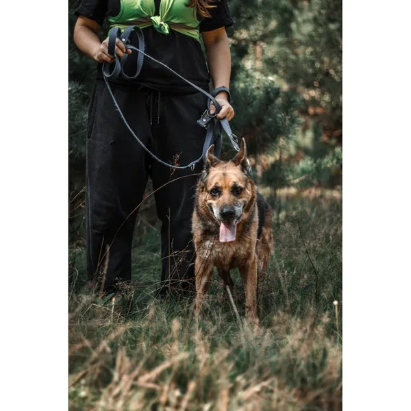 Znaleziono psa, Białystok, 1 czerwca 2025 (3/5)