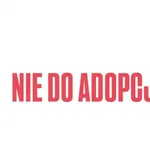Pies do adopcji