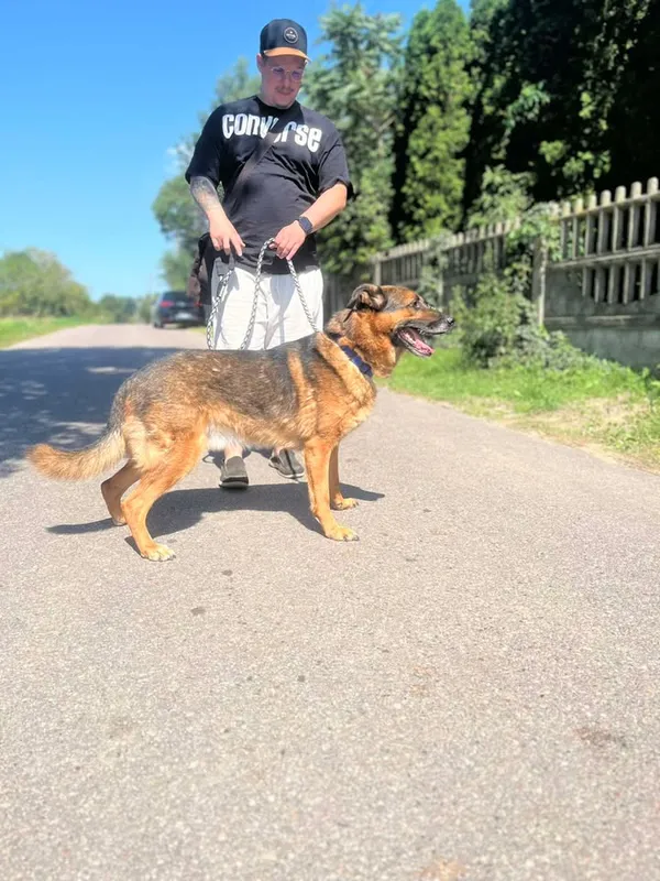 Oddam psa, Warszawa, Zacisze, 23 sierpnia 2025 (2/5)