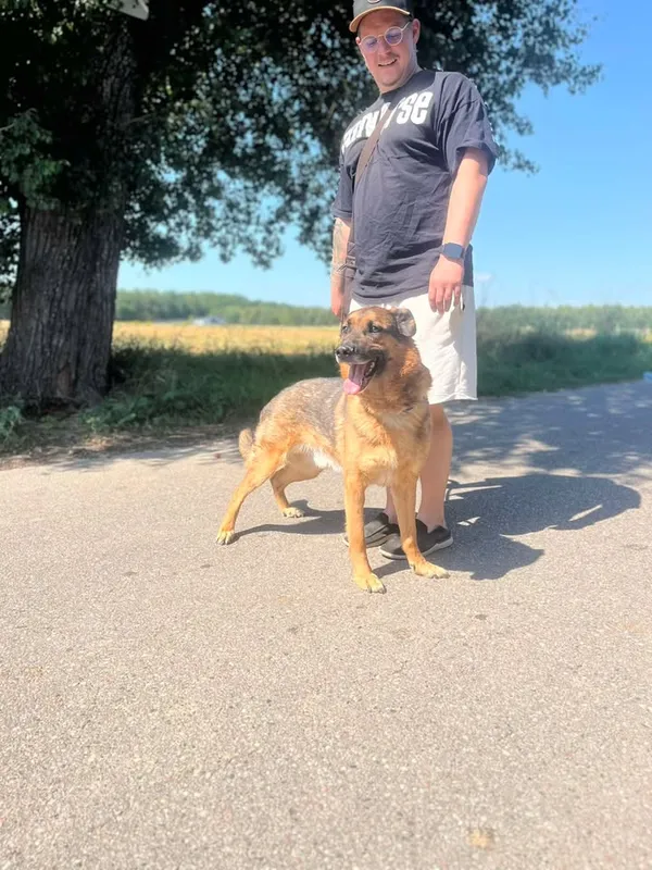 Oddam psa, Warszawa, Zacisze, 23 sierpnia 2025 (5/5)