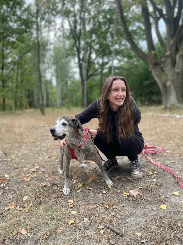 Pies do adopcji, Milanówek, 23 sierpnia 2025 (5/5)